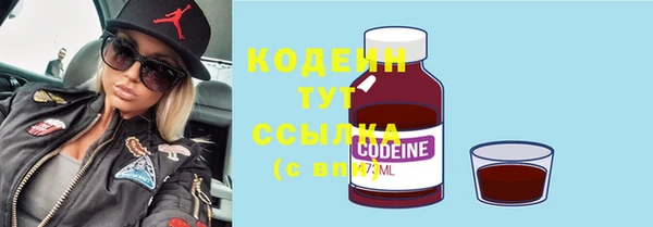 сатива Карпинск