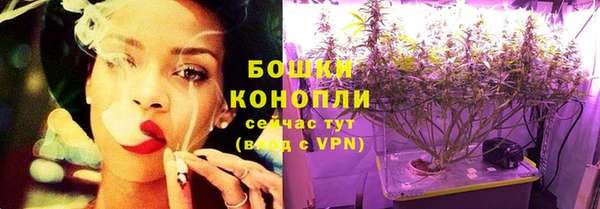 сатива Карпинск