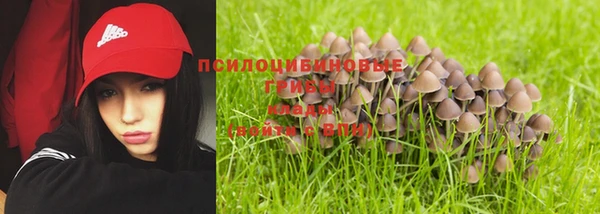 MDMA Верхний Тагил