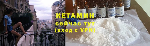 сатива Карпинск